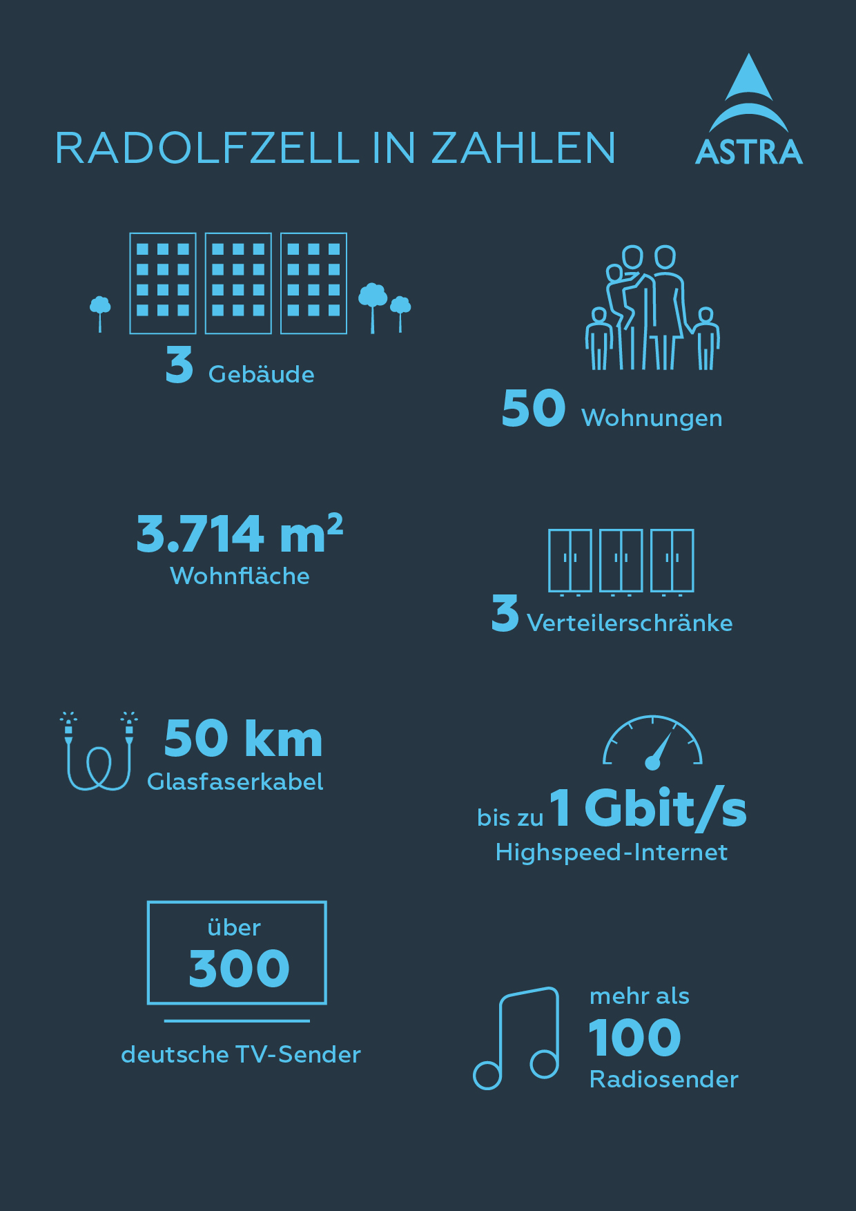 Infografik Radolfzell in Zahlen