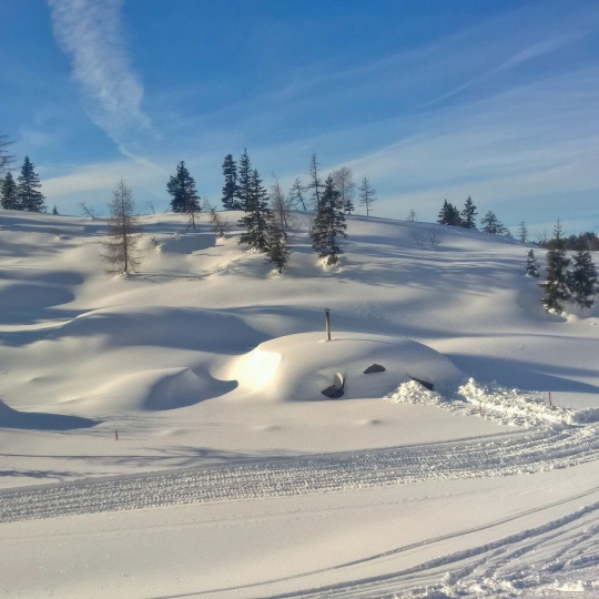 Winterlandschaft