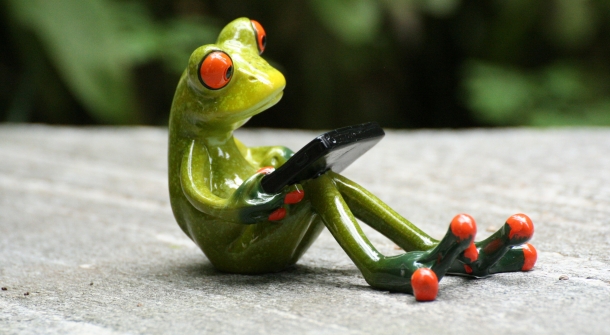 Ein Frosch mit einem Tablet in der Hand.